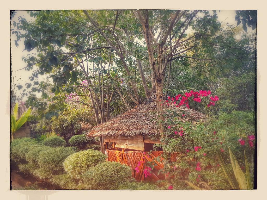Karen Little Paradise Nairobi Exterior foto